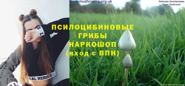 первитин Богородицк
