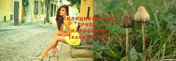 2c-b Вяземский
