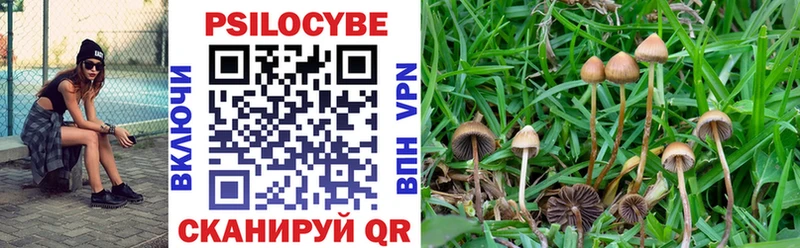 Псилоцибиновые грибы мухоморы  Долгопрудный 