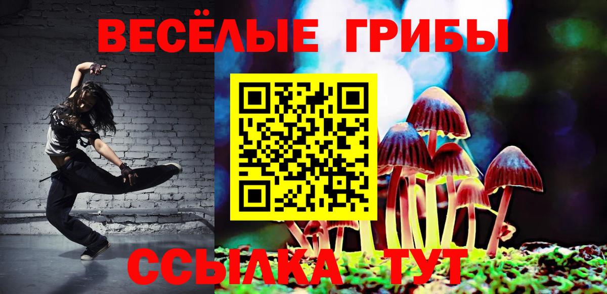 Долгопрудный  Галлюциногенные грибы мухоморы  Галлюциногенные грибы ЛСД  Вход с VPN 